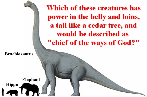 dinosaurs in the bible job