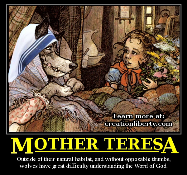 Demotivational Poster Mother Teresa