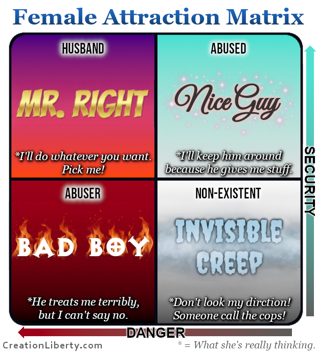 The Female Attraction Matrix - Helping Men Understand How Women Think